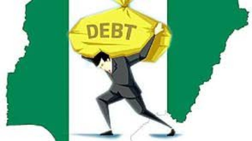 Deficits, Debt and Economic Literacy: A Response to Nigeria’s Fiscal Critics
