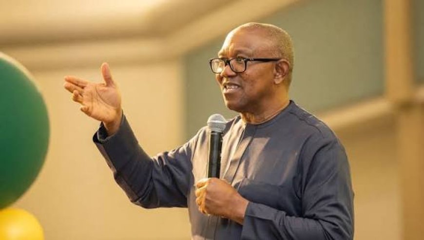 Politicians are the Goliaths in our polity; Nigeria must find its David  ---Peter Obi 