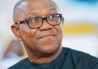 Peter Obi: The People’s Organic Coalition