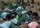 Oyo Kidnapping: Tinubu Presidency As Ibiye’s Goat