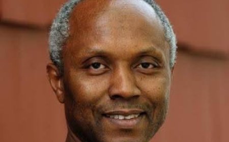 SERAP Condemns Arrest Of Human Rights Activist, Okey Ndibe By DSS