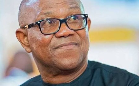 Peter Obi: The People’s Organic Coalition