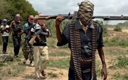 Bandits Abduct Seven Students In Zamfara