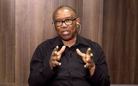 Obi Calls for a Holistic Approach to the Insecurity Challenges