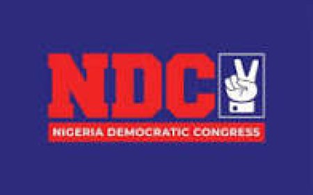 NDC Names Onyema Ugochukwu, Sam Egwu, Okwesilieze Nwodo, Achike Udenwa, Others As Southeast Leaders