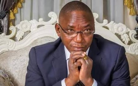 Ex- Minister Lambasts FG, Says They Can Pick Anyone Who criticizes Them But Can’t Track Bandits In The Forest