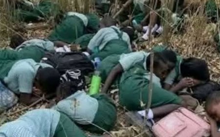 Oyo Kidnapping: Tinubu Presidency As Ibiye’s Goat