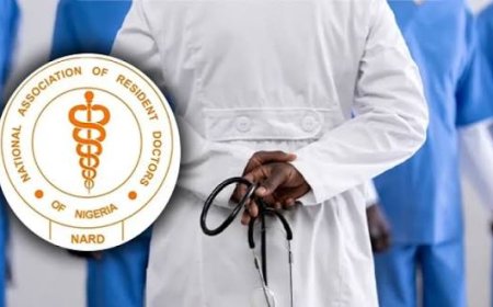 NARD Gives 21-Day Ultimatum To FG Over Attacks On Doctors, Welfare Issues