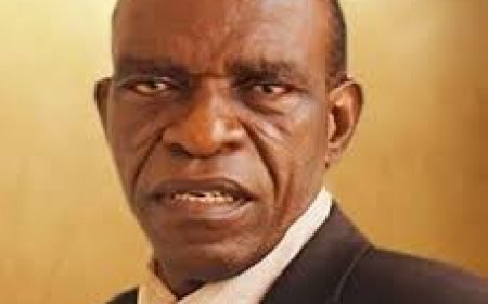 Why 'Barkiing Dogs' Are Not Capturing Peter Obi's Attention