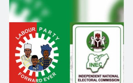 Labour Party Drags INEC To Court Over Exclusion From Enugu North Senatorial By-election: