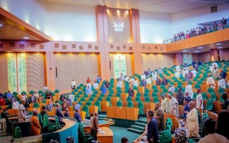 House of Representatives Approve Bill For Creation Of State Police in Nigeria