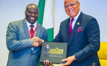 We secured N2bn funding for digitisation programme at UniUyo - Management