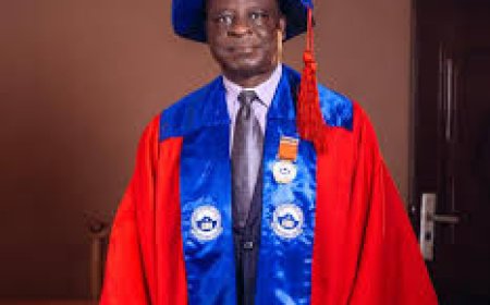 Poor funding, paucity of teachers, bane of science education in Nigeria ------ Ex- Vice Chancellor 