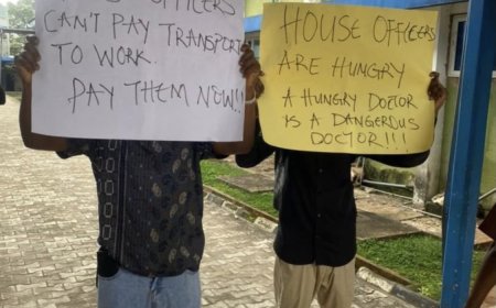 House Officers Embark On Indefinite Strike n Federal Health institutions Over Non- payment Of Two Months Salaries