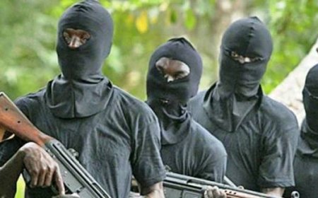 Bandits Kill Six Farmers In Kaduna