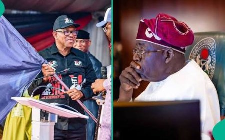 2027 National Elections: Bola Tinubu Versus Peter Obi (2) And Bayo Onanuga's Ad Hominem Fallacy
