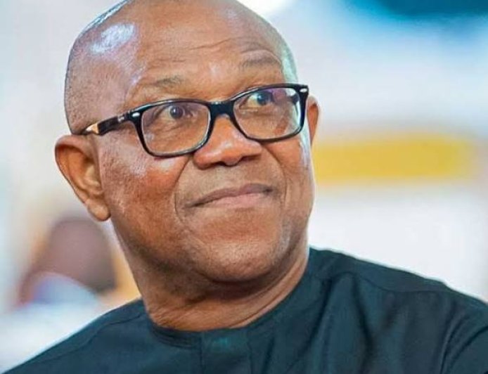 Peter Obi: The People’s Organic Coalition