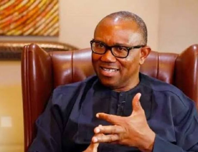 What Peter Obi Said In Washington: "I Will Listen To All Agitators, Make Sacrifices For Unity