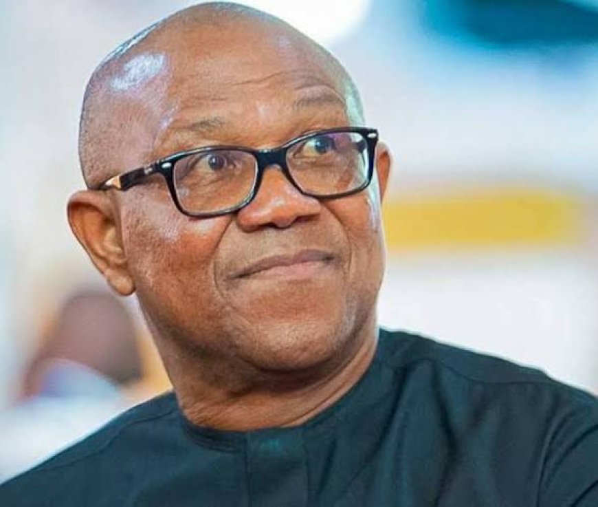 Peter Obi: The People’s Organic Coalition