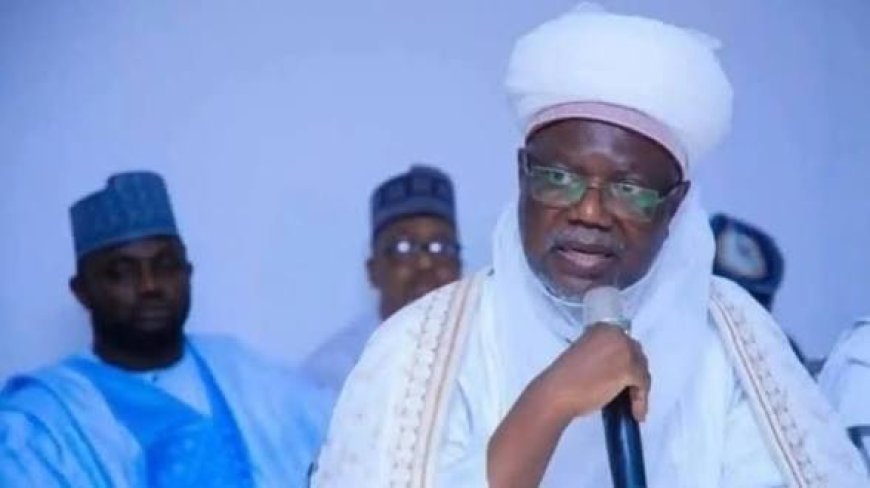 Bandits' Attacks: Argungu Emir Asks Communities To Arm Themselves