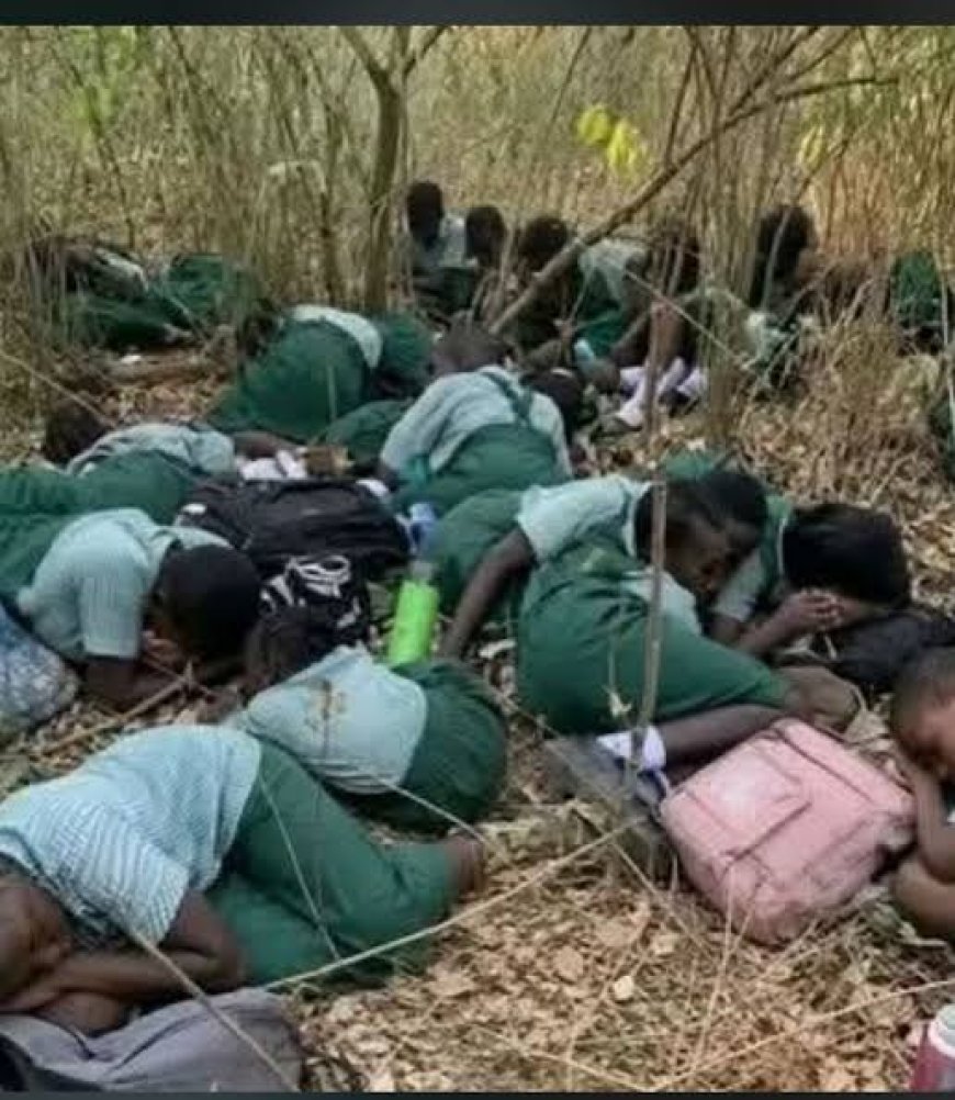 Oyo Kidnapping: Tinubu Presidency As Ibiye’s Goat