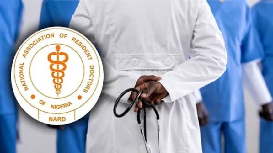 NARD Gives 21-Day Ultimatum To FG Over Attacks On Doctors, Welfare Issues