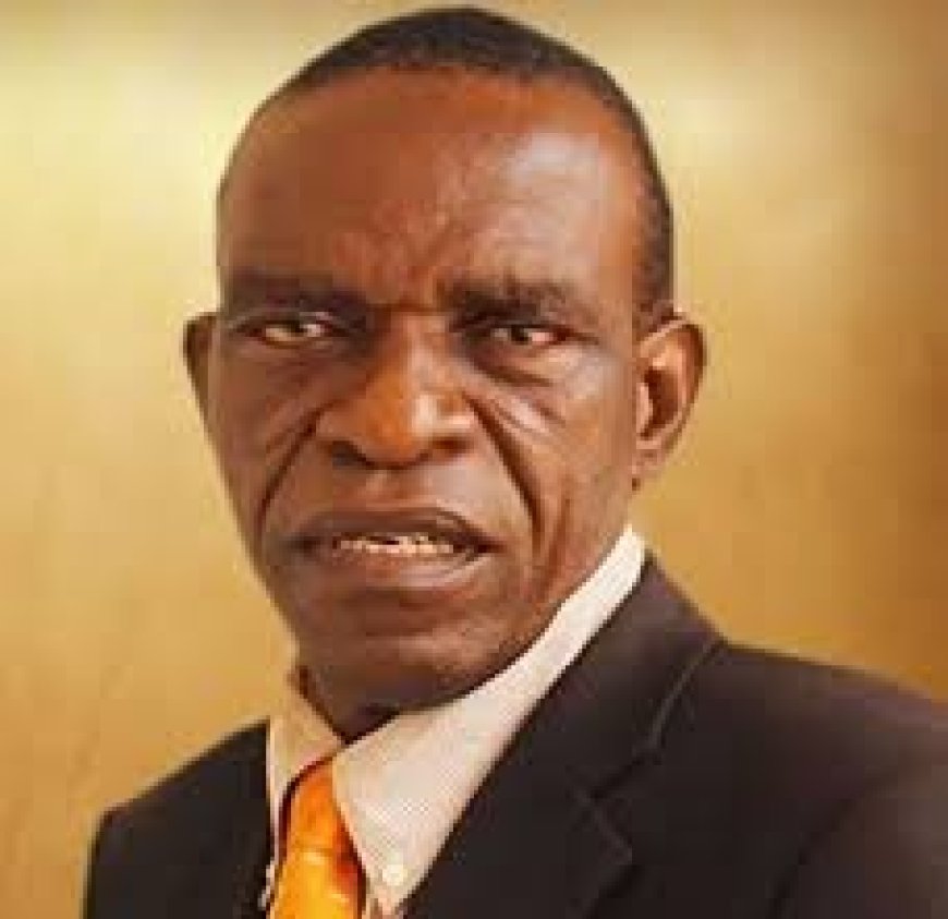 Why 'Barkiing Dogs' Are Not Capturing Peter Obi's Attention