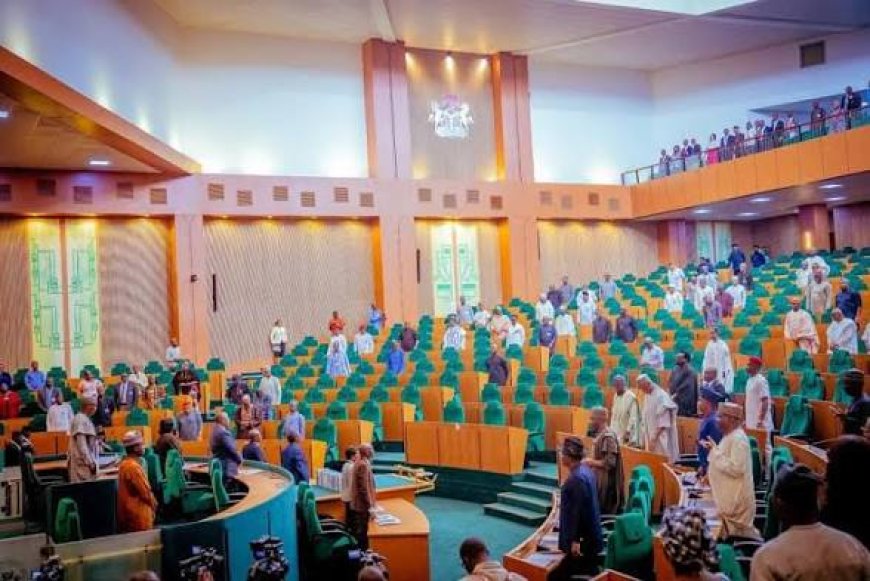 House of Representatives Approve Bill For Creation Of State Police in Nigeria