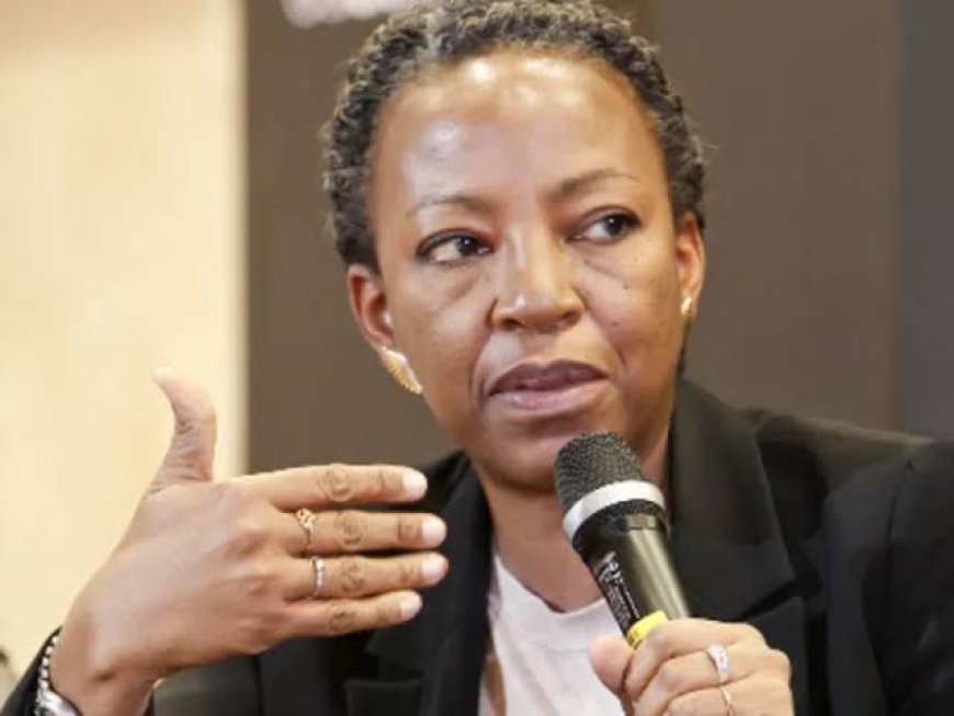 Former CLO President, Ayo Obe Says Nigeria Needs Democratic Legitimacy To Sustain Security