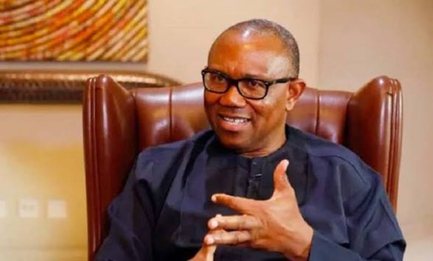 What Peter Obi Said In Washington: "I Will Listen To All Agitators, Make Sacrifices For Unity