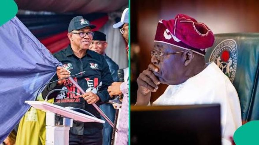 2027 National Elections: Bola Tinubu Versus Peter Obi (2) And Bayo Onanuga's Ad Hominem Fallacy
