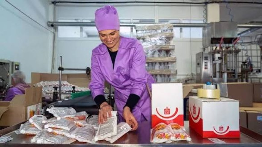 Ukraine's Small Scale Companies Generate Employments For Over 50,000 New Jobs