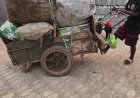 Memo to Northern Leaders: The Tale of Two Wheelbarrows And Why the Throne Is Not Saving Katsina.