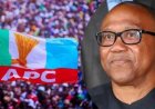 APC's Obsession with Peter Obi due to lack of what to showcase to Nigerians 