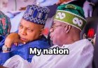 With Shettima, APC Dodged A Bullet