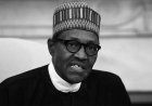 Ex- President Buhari Not Involved In PFIPC/PEAC Conundrum -------- BMO
