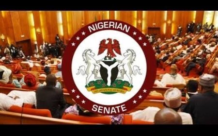 Nigeria morning news: APC, INEC, CBN, Presidency scandals