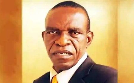 The Political Truth the North Must Confront, By Ike Abonyi