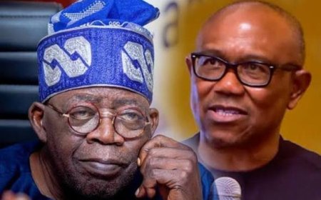 State Sponsored Harassment Of Peter Obi & The Unacceptable Presidency's Tenuous Reaction