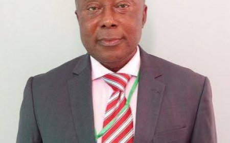 Nwabuoku’s N868.4m Fraud:  Appeal Court Dismisses  Bail Application for Lack of Merit