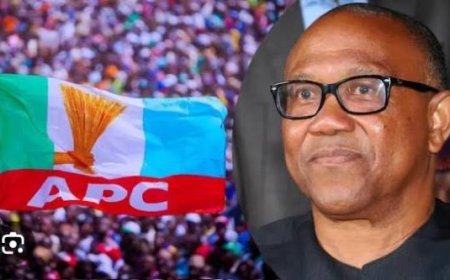 APC's Obsession with Peter Obi due to lack of what to showcase to Nigerians 