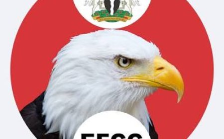 Alleged N27b Fraud: Witness Reveals How N1.8b Meant for Christmas Grains in Taraba was Siphoned