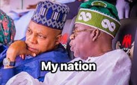 With Shettima, APC Dodged A Bullet