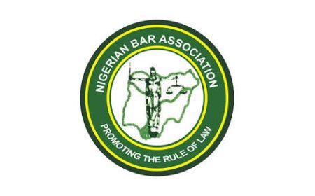 Account Of My Stewardship As Chairman, Nigerian Bar Association, NBA, Obollo- Afor Branch, By Barr Paul Odo