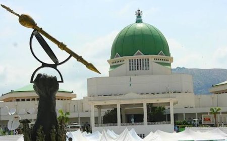 National Assembly Constituency Projects And The Rest Of Us: Enough Of This Scam 