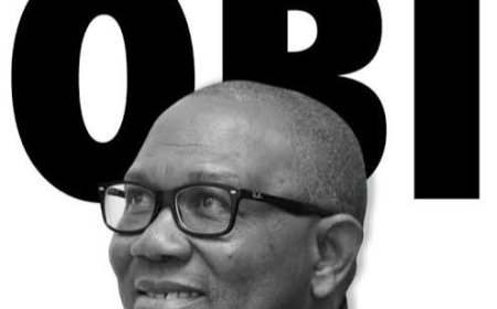 Peter Obi, CON at 65: Extolling A Visionary's Enduring Influence.