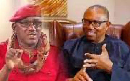 Why Solomon Dalung's False, Unfounded Assertion About Peter Obi in Plateau State