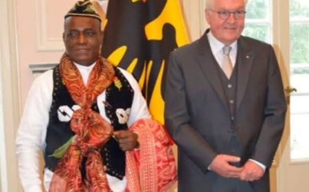 Ambassador Enang  Presents Letters of Credence to German President 