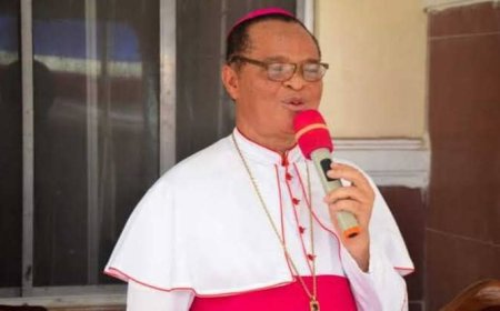Owerri Catholic Archdiocese Granted Licence To Establish Maria Assumpta University