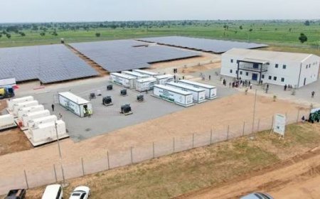 15 Universities Now Fully Connected To Solar Farms ---------- Rural Electrification Agency Boss